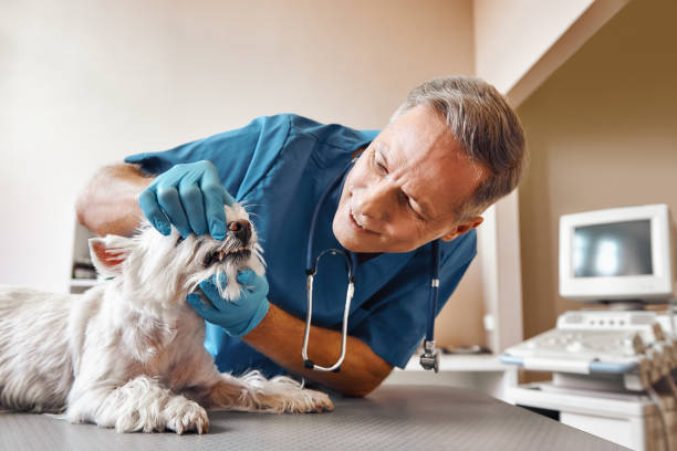 Best Dentist for Tooth Abscess  in Crystal Lake, FL